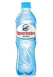 Вода пит. ЧЕРНОГОЛОВКА б/г 0,5л пэт 1/12  